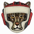 Wild fishing cat portrait. Animal face. Animal wearing boxer helmet.