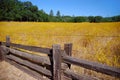 Wild Flower Meadow and Fencing Royalty Free Stock Photo