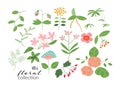 Wild flower meadow illustration.vector floral elements collection. Royalty Free Stock Photo