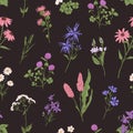 Wild flower pattern on black background. Seamless botanical texture with wildflowers, herbs and floral plants in retro