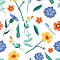 Wild flower seamless pattern. Summer botanical motifs. Beautiful background for fashion, prints. Flat style vector Royalty Free Stock Photo