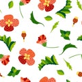 Wild flower seamless pattern. Summer botanical motifs. Beautiful background for fashion, prints. Flat style vector Royalty Free Stock Photo