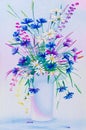 Wild flower in a vase Royalty Free Stock Photo