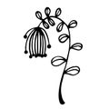 Wild flower vector icon. Hand-drawn illustration isolated on white background. A twig with veined leaves Royalty Free Stock Photo