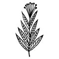 Wild flower with veined leaves vector icon. Hand-drawn illustration isolated on white background. Royalty Free Stock Photo