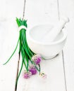 Wild flowering Chives Royalty Free Stock Photo