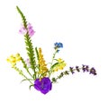 Wild flowers Royalty Free Stock Photo