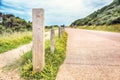 Wild flowers along a rural fence line Royalty Free Stock Photo