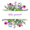 Wild flowers banner with field flowers, pink and violet