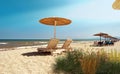 Wild flowers on beach straw umbrellas blue sky loungers on white sand on horizon blue sea tropical nature resort Greece