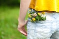 Wild flowers in the blue jeans pocket Royalty Free Stock Photo