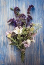 Wild Flowers On Blue Wooden Deck Background Chamomile Lupine Dandelions Thyme Mint Bells Rape