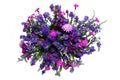 Wild flowers bouquet Royalty Free Stock Photo