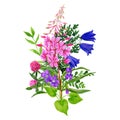 Wild flowers bouquet, pink and blue tints, fireweed and bellflowers