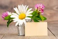 Wild flowers bouquet in tinplate pail Royalty Free Stock Photo