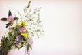 Wild flowers bouquet on white carton Royalty Free Stock Photo