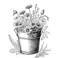 Wild flowers in a bucket hand drawn sketch Vector illustration Rustic style