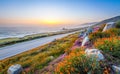 Wild flowers and California coastline in Big Sur at sunset Royalty Free Stock Photo