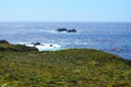 Wild Flowers on Cliff and Silver Ocean, Big Sur, California, USA Royalty Free Stock Photo