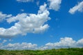 Wild Flowers and Clouds