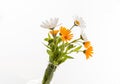 Wild flowers daisies and chamomile fresh bunch isolated against white background