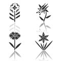 Wild flowers drop shadow black glyph icons set. Franciscan wallflower, crimson columbine, common star lily, blanket