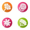 Wild flowers flat design long shadow glyph icons set. Cow parsnip, candytuft, coreopsis, blanket flower. Blooming Royalty Free Stock Photo