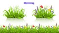 Wild flowers, forb alpine pastures. Spring grass seamless pattern 3d realistic vector Royalty Free Stock Photo