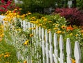 Wild flowers growing over white picket fence