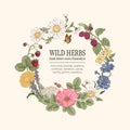 Wild flowers. Herbal tea.