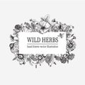 Wild flowers. Herbal tea.