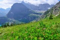 Wild flowers on high alpine landscape on the Grinnell Glacier trail in Glacier national park, montana Royalty Free Stock Photo