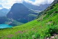 Wild flowers and high alpine landscape of the Grinnell Glacier trail in Glacier national park, montana Royalty Free Stock Photo