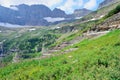 Wild flowers and high alpine landscape of the Grinnell Glacier trail in Glacier national park, montana Royalty Free Stock Photo