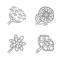 Wild flowers linear icons set. Cow parsnip, candytuft, coreopsis, blanket flower. Blooming wildflowers, weed. Calflora