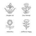 Wild flowers linear icons set. Douglas iris, cow parsnip, helianthus, california poppy. Blooming wildflowers, weed
