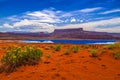 Wild Flowers near Evaporation Ponds - Potash Road in Moab Utah