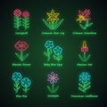 Wild flowers neon light icons set. Candytuft, common star lily, crimson columbine, blue eye, linum, coreopsis