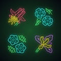 Wild flowers neon light icons set. Crimson columbine, blue flax, linum, douglas iris. Blooming wildflowers, weed. Field