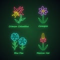 Wild flowers neon light icons set. Crimson columbine, coreopsis, blue flax, mexican hat. Blooming wildflowers, weed