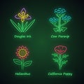 Wild flowers neon light icons set. Douglas iris, cow parsnip, helianthus, california poppy. Blooming wildflowers. Spring