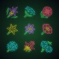 Wild flowers neon light icons set. Orchid, cow parsnip, candytuft, star lily, coreopsis, franciscan wallflower, crimson