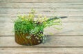 Wild flowers in a old copper pot Royalty Free Stock Photo