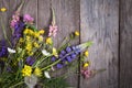 Wild flowers on old grunge wooden background (chamomile lupine dandelions thyme mint bells rape Royalty Free Stock Photo