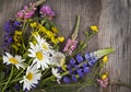 Wild flowers on old grunge wooden background (chamomile lupine dandelions thyme mint bells rape Royalty Free Stock Photo