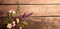 Wild flowers on old grunge wooden background chamomile lupine dandelions thyme mint bells Royalty Free Stock Photo