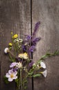 Wild flowers on old grunge wooden background  lupine, dandelions, thyme, mint, bells, rape Royalty Free Stock Photo