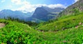 Wild flowers in panoramic High alpine landscape on the Grinnell Glacier trail in Glacier national park, montana Royalty Free Stock Photo