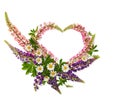Wild flowers pink and violet lupin Lupinus albus and daisies in the shape heart on a white background with space for text Royalty Free Stock Photo