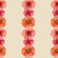 Wild flowers poppies watercolor set illustration seamless